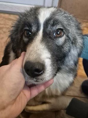 616226759 25742899565350627 464169553788107485 n