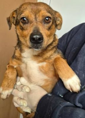 616266868 25759512327022684 4373893102135896487 n