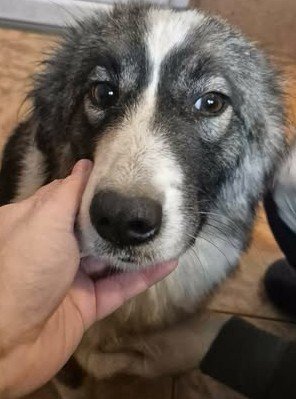 616330854 25742899082017342 4496641969587452426 n