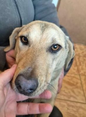 616411919 25750640727909844 5321824231710414932 n