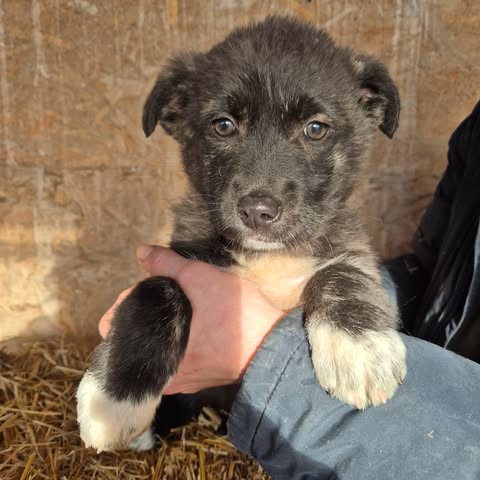 616556101 25750751951232055 5653987881620529449 n