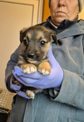 616643195 25742325035408080 7789917618828239117 n