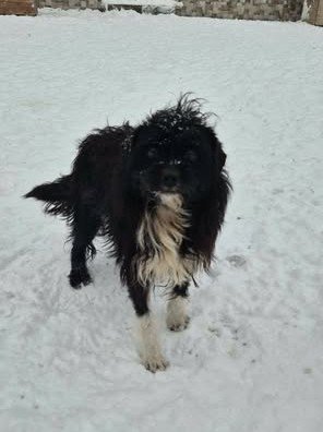 616751953 25750590221248228 6908323374117232597 n