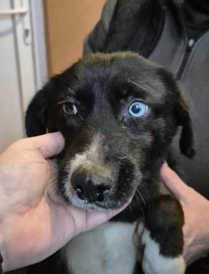 616826509 25725210707119513 4620639523153435387 n