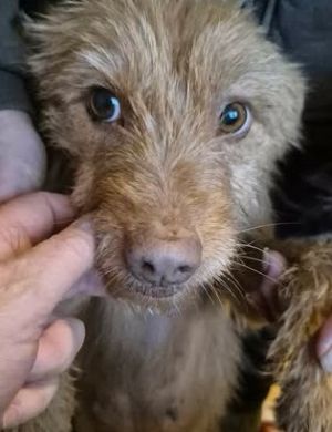 616831236 25725061410467776 6727003087670853615 n