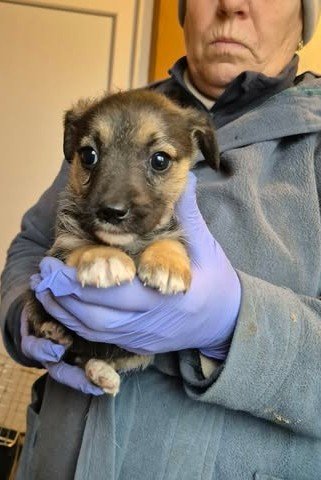 616832396 25742325032074747 2439400250992176927 n