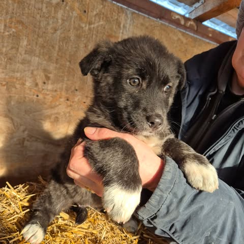 616832783 25750751794565404 4711093301263834809 n