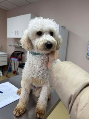 616837271 856522373921389 6345747667992436349 n