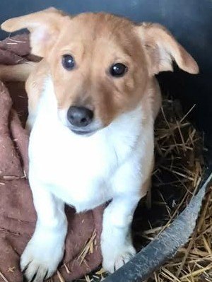 616866320 2952123558511088 2609806833302517928 n