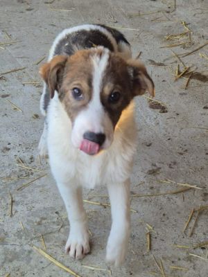 616896851 1800596617304947 3303490471664319543 n