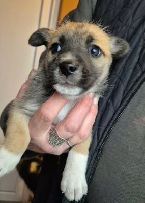 617104392 25742434215397162 5070352564948287046 n