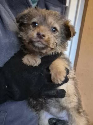 617139802 25796816313292285 8449140416602096509 n