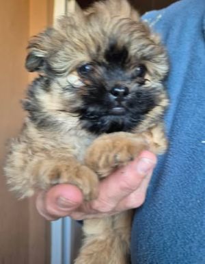 617249418 25796946289945954 8911789933459860460 n