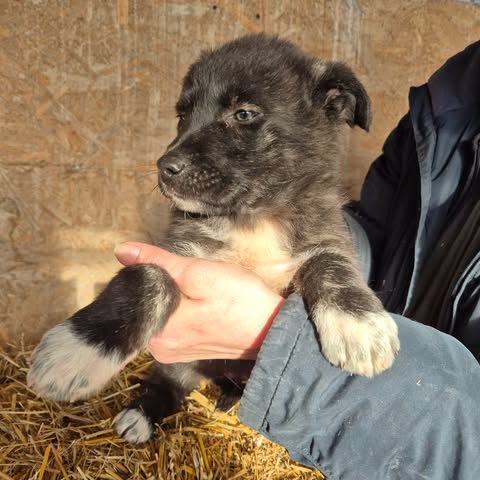 617377162 25750751751232075 2906798680326175191 n