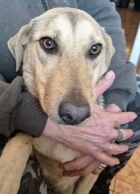 617513147 25750640731243177 6708810475379526574 n