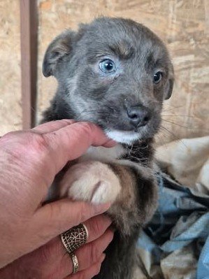 617838761 1380178780313614 8739066579552330581 n