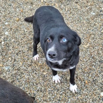 617872605 1203047211534647 8015794054508444960 n