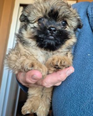 618097978 25796946219945961 26655766087032554 n