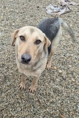 618100326 1440108437745472 1231547585178158376 n