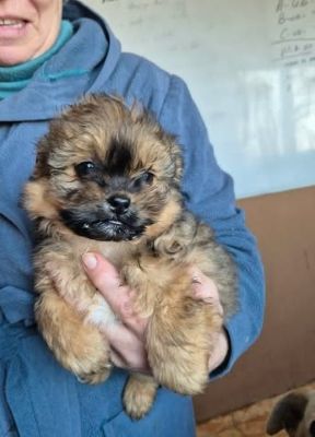 618131552 25796871146620135 640109157309785707 n