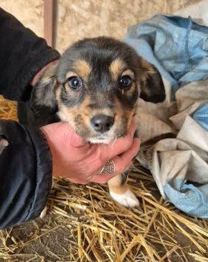 618254967 1540252387235171 8511748167162491148 n