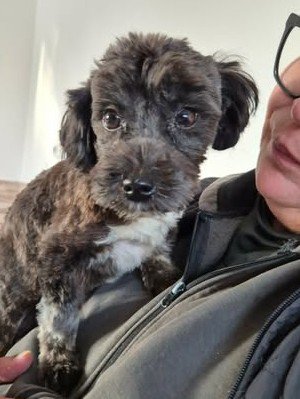 618297249 25806014349039148 5550060670472391007 n