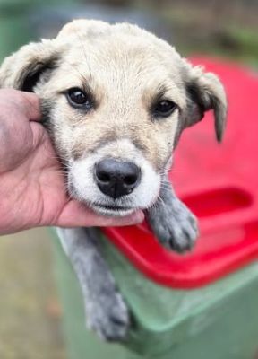 618376116 25742602388713678 8649196622255917599 n