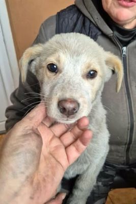 618469794 25742487182058532 3731418916363126047 n