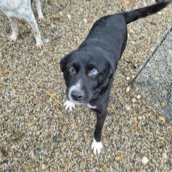 618597978 849249811478248 2648566140274356485 n