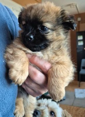 618709828 25797023616604888 6639205271134966605 n