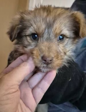 619197086 25796738636633386 219189843707686933 n