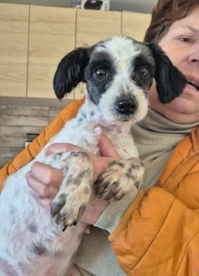 619298675 25805810059059577 8550109020742001644 n