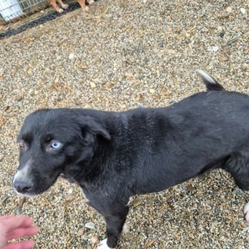 619337187 668759646259071 9029684611622185386 n