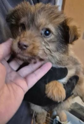 619339641 25796816316625618 5964282451237732487 n