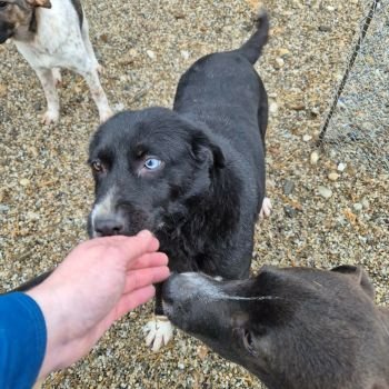 619351144 1444751853916418 4505180686970675858 n