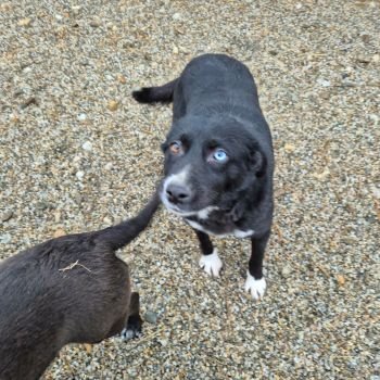 619466804 743769448804545 2050062952222385419 n