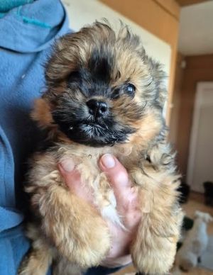 619540302 25796871153286801 313473608812344890 n