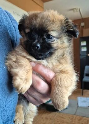 619563399 25797023253271591 3659359474605761519 n