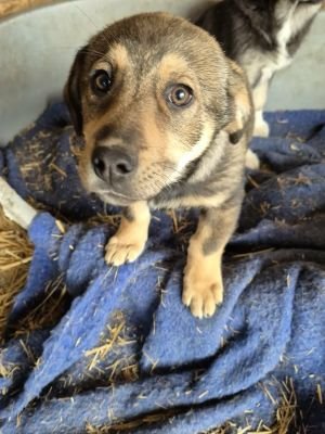 619823182 2159124497954270 3677864468201851730 n