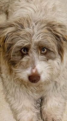 619994073 1271003971754457 3569469729700318145 n