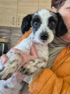 620117354 25805810649059518 4452460924464311877 n