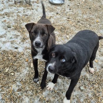 620451172 1382054443661195 3629790096696479751 n