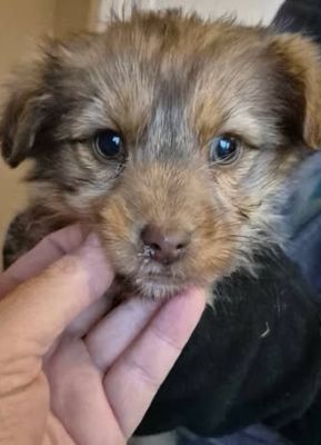 621227315 25796738779966705 4494315667109978471 n