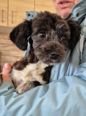 621592381 25806014982372418 7632607607214703745 n