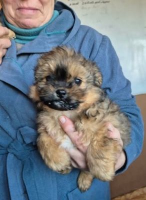 621763609 25796871456620104 220965582471955978 n