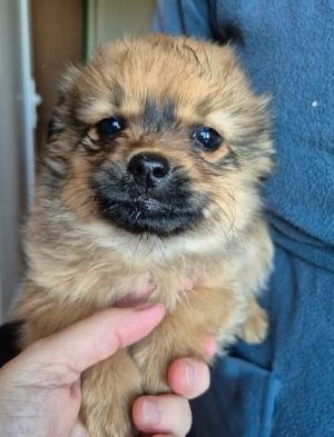 621817708 25796978503276066 1152569993221900747 n