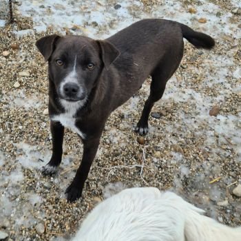 622023872 4253312854999111 3985761830537429441 n