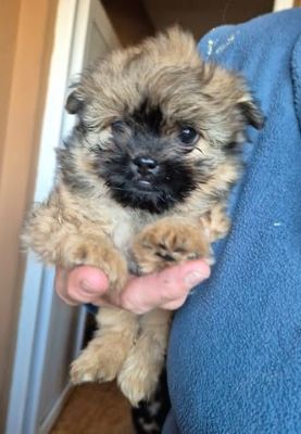 622378238 25796946223279294 8270259383707614177 n