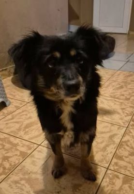 622419913 25684579221226021 6033718440564762422 n