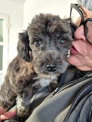 623010787 25806014989039084 1933411940184143168 n